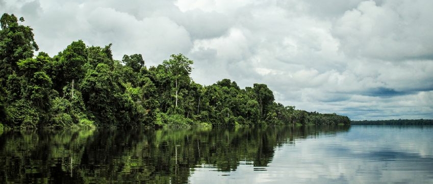 Regenwald, Fluss Rio Negro und bewölkter Himmel